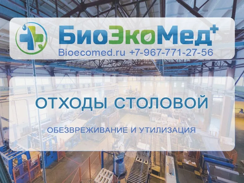 Отходы столовой